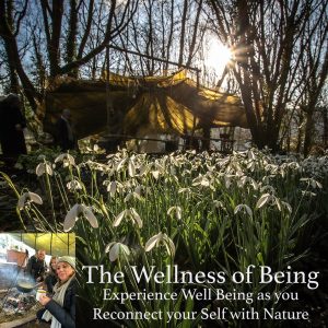 The Wellness of Being